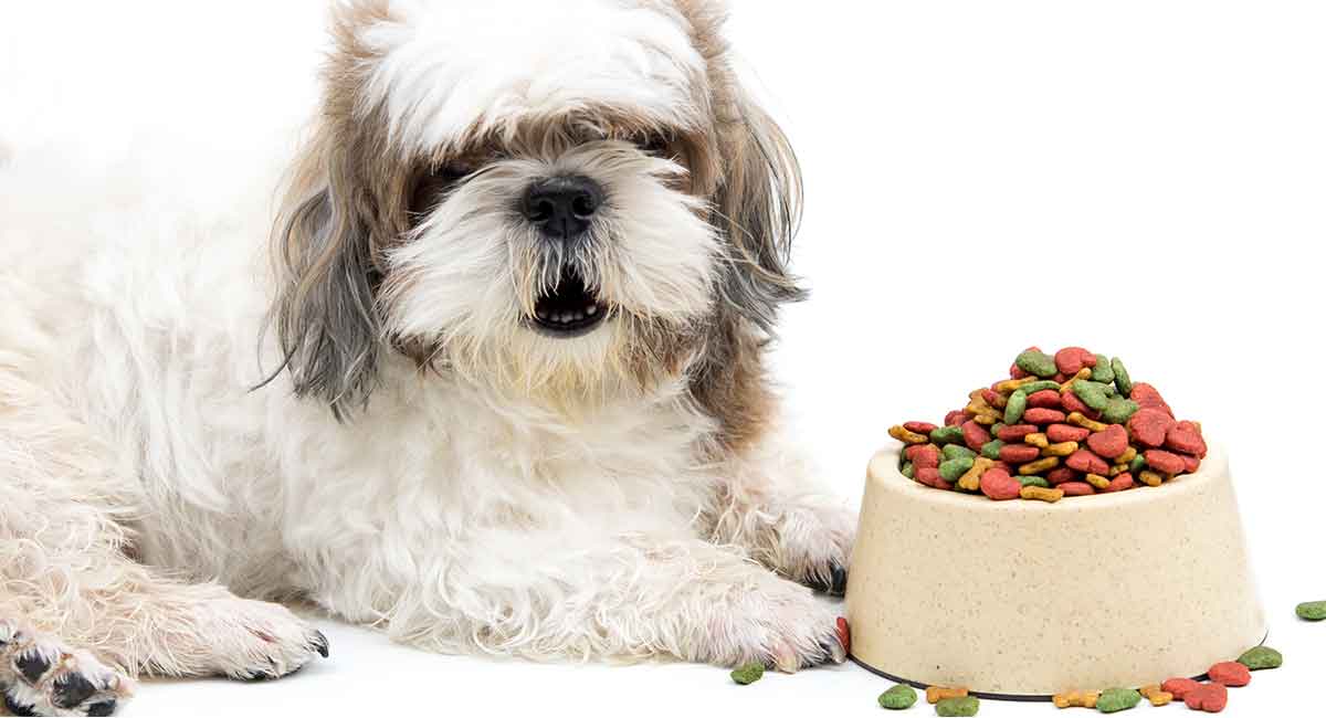 Dog Food